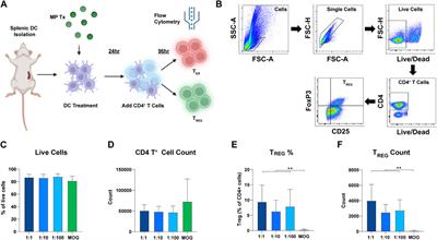 Dissecting regulatory T cell expansion using polymer microparticles presenting defined ratios of self-antigen and regulatory cues